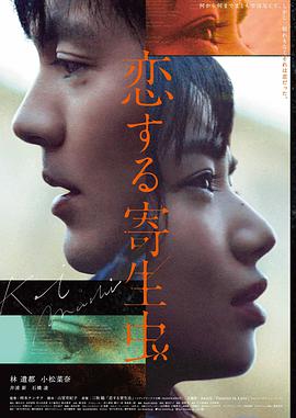 图鉴作品星港旧梦封面